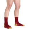 Darn Tough Vermont Women Merino Wool Micro Crew Socks Cushion(Cranberry)